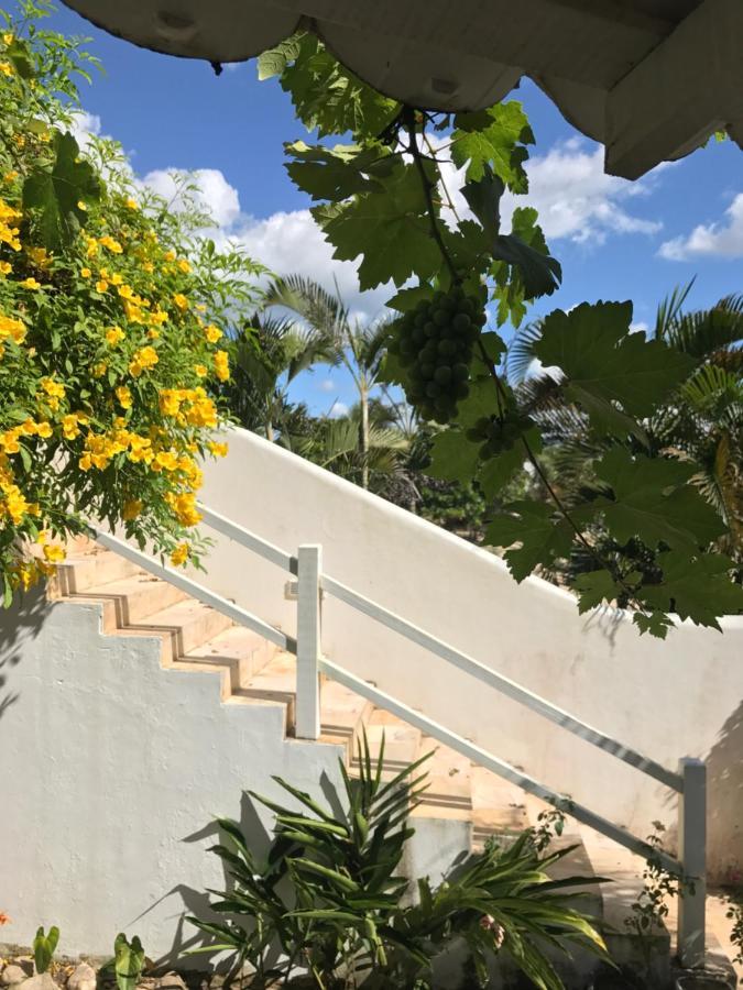 Pousada Papaya Jijoca de Jericoacoara Exterior photo